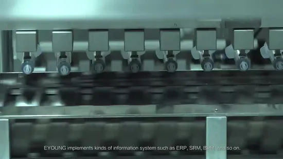 High Quality Infusion Bag and Infusion Bag Dosage Stopper for Hospital Use 